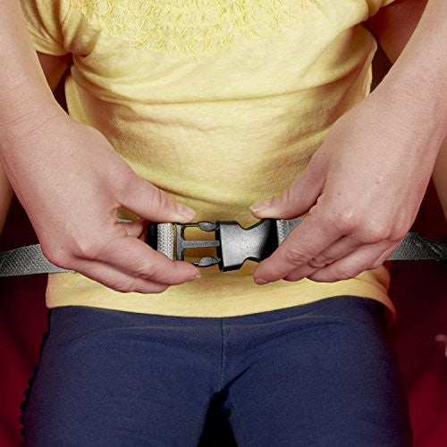 Radio Flyer Ez Fold Wagon W/canopy