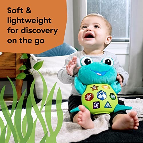 Baby Einstein Neptunes Cuddly Composer