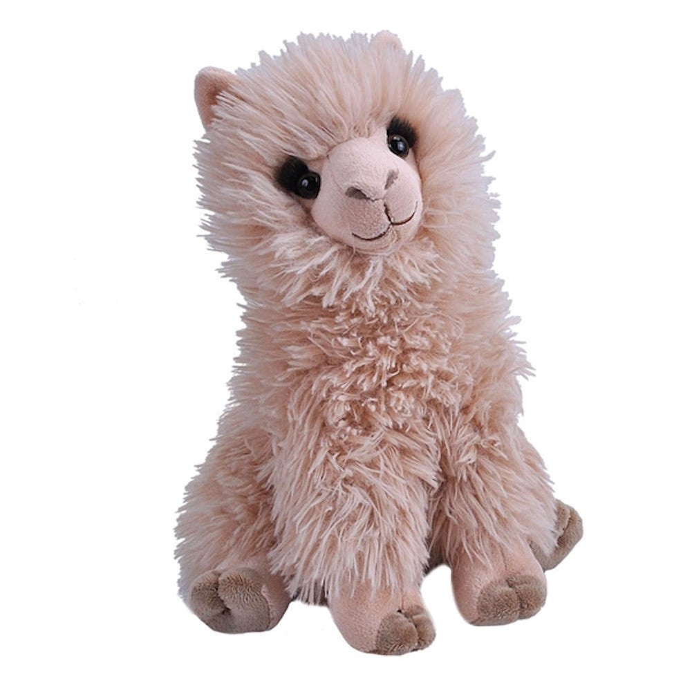 CK ALPACA