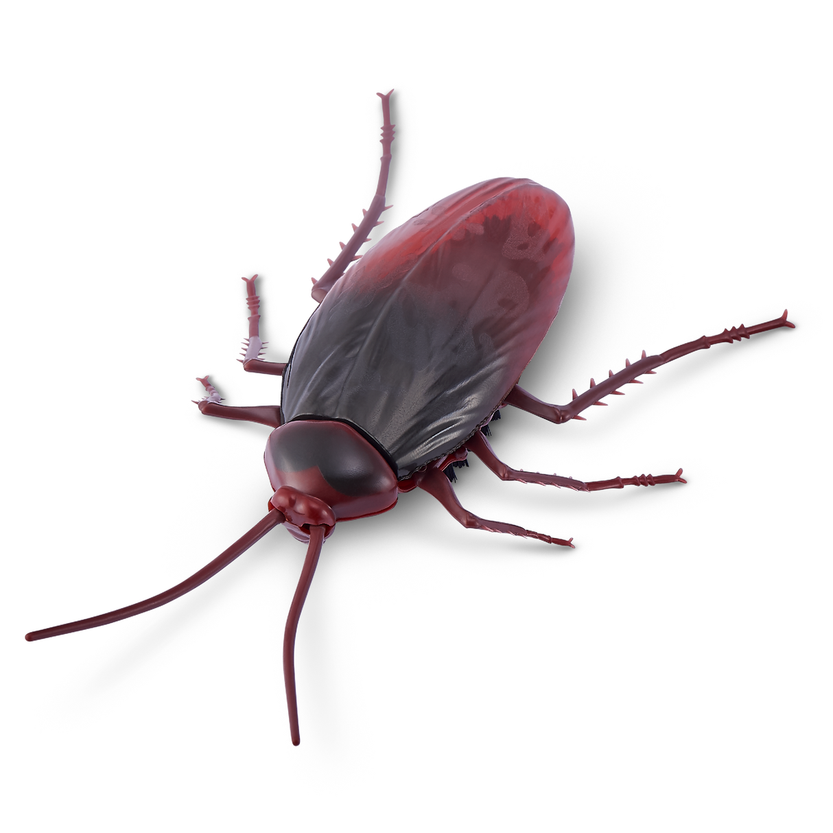 ZURU Robo Alive Robotic Cockroach