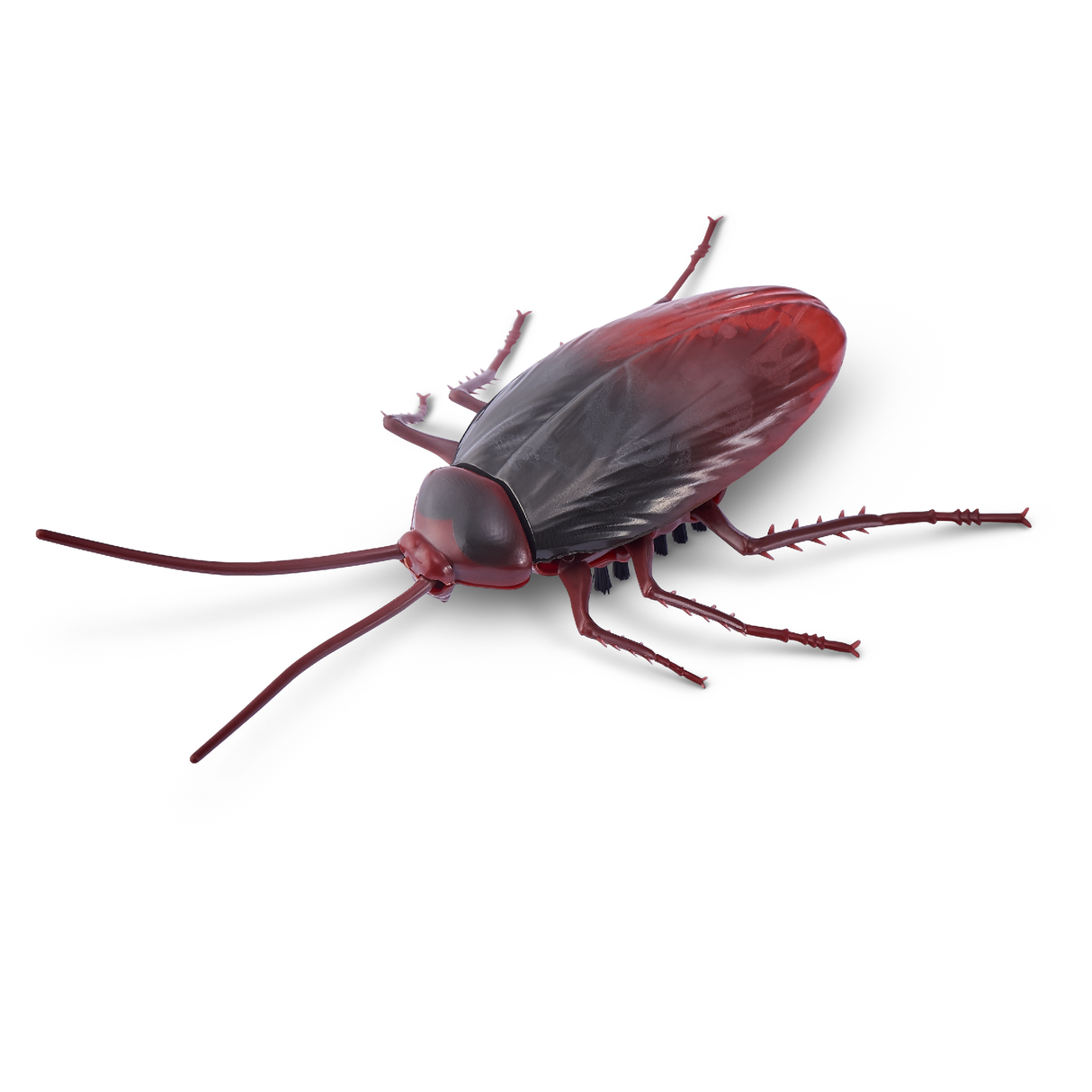 ZURU Robo Alive Robotic Cockroach