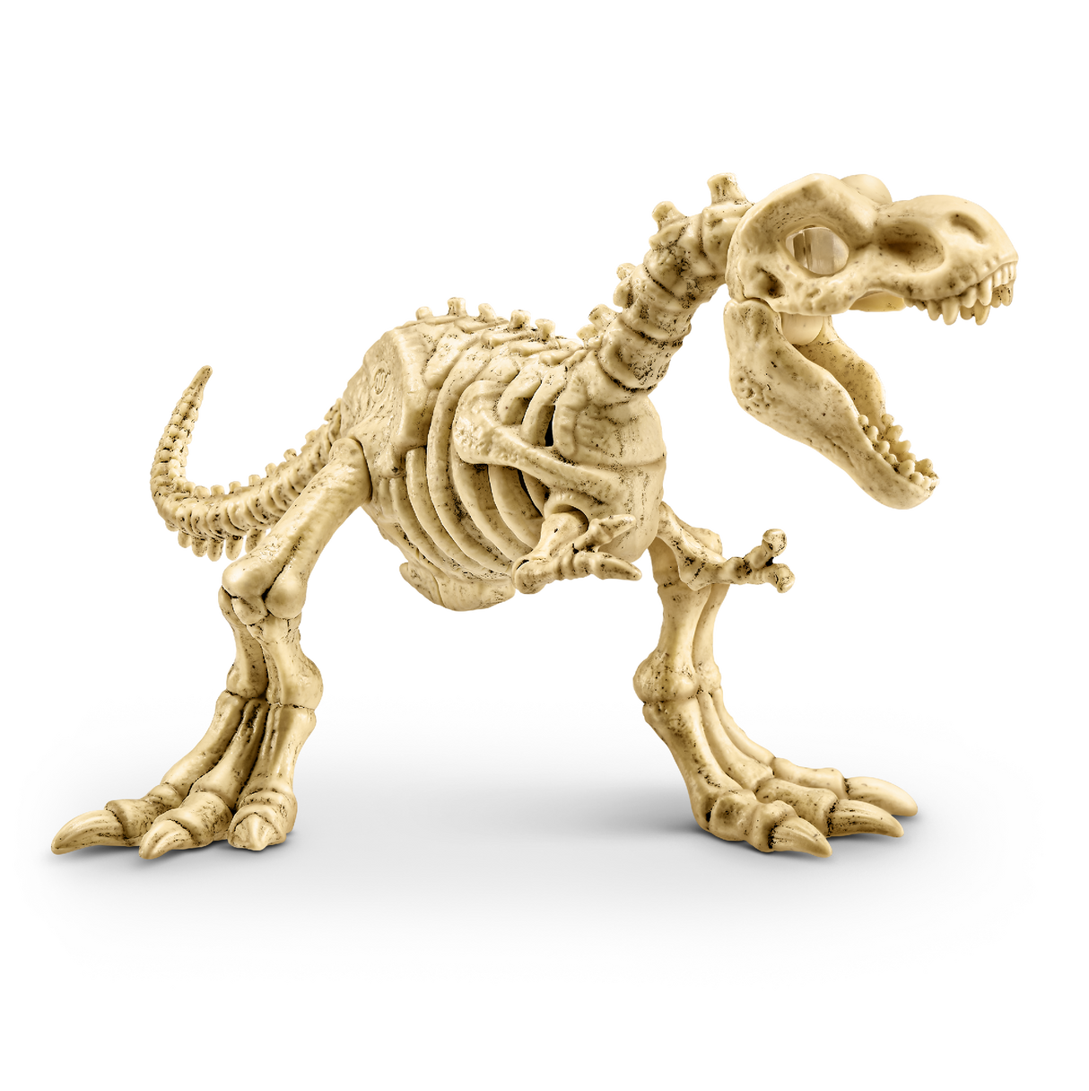Zuru Robo Alive Light-Up Dino Fossil Amber Adventure