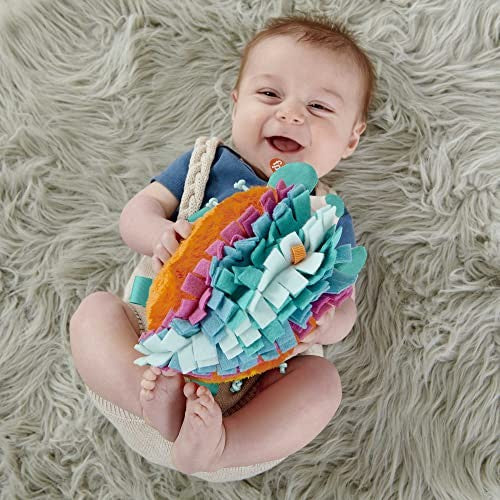 Fisher Price Cuddle N' Snuggle Hedgehog