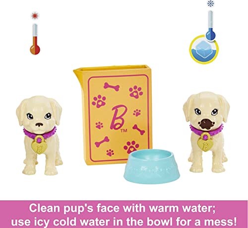 Barbie Doll And Accessories Pup Adoption Playset With Doll 2 Puppies And Color-change