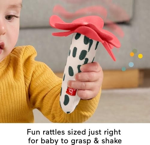 Fisher-price Shake N Rattle Busy Bee