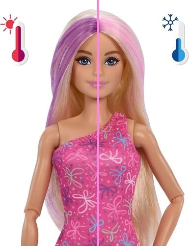 Barbie Reveal Party Unboxed Birthday Surprise & Slide