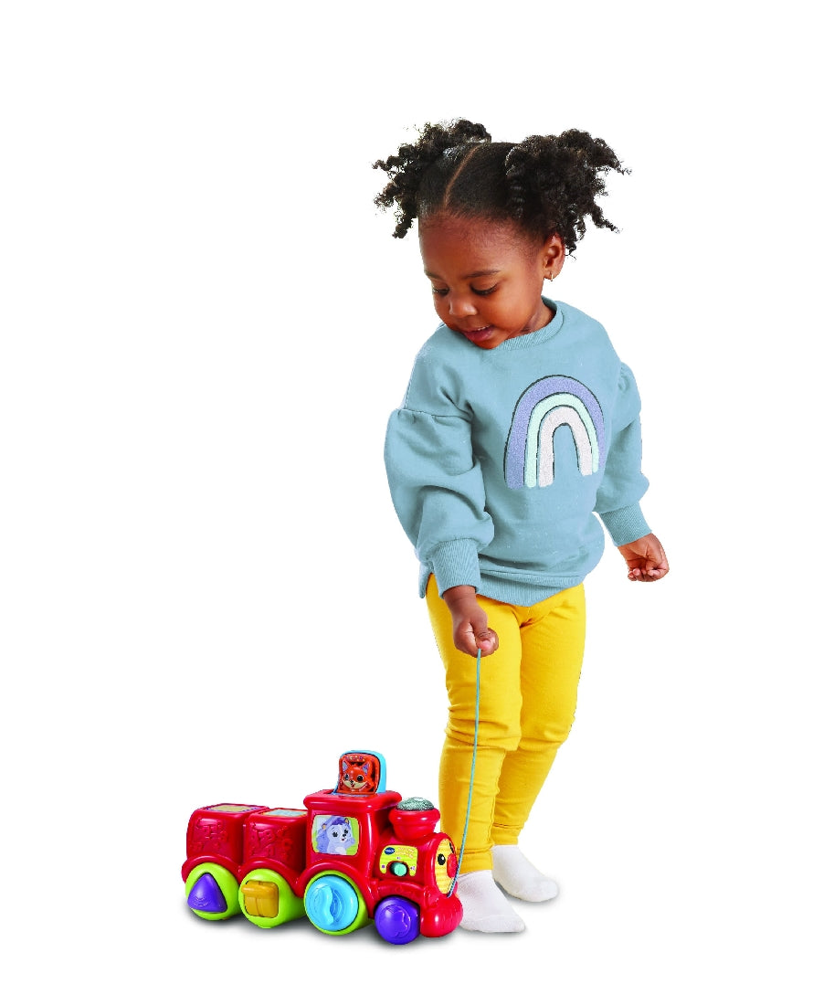 Vtech Pop & Sing Animal Train