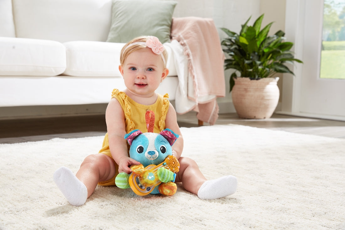 Vtech Puppy Sounds Guitar