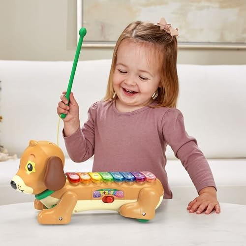 Vtech ZooJamz Doggy Xylophone