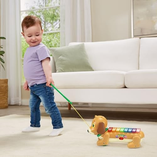 Vtech ZooJamz Doggy Xylophone