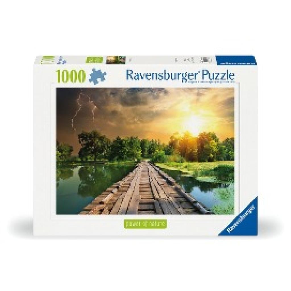 Ravensburger Mystic Skies Nature Puzzle 1000 Piece