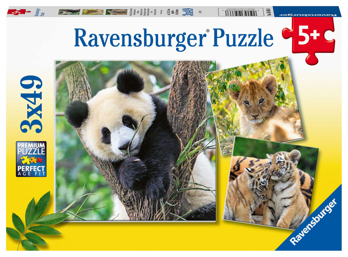 Ravensburger Panda Lion & Tiger 3x49 Piece