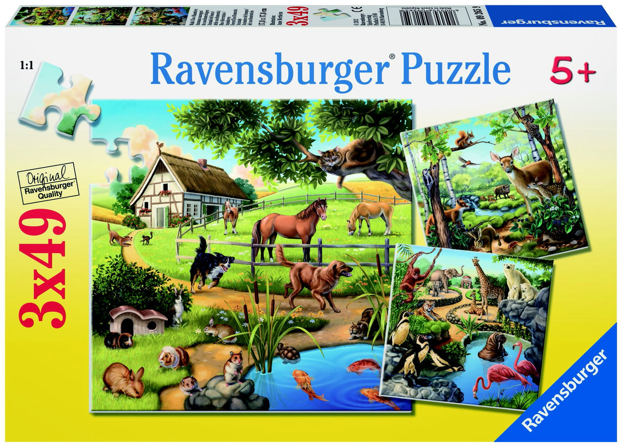 RBURG - FOREST ZOO & PETS PUZZLE 3X49PC