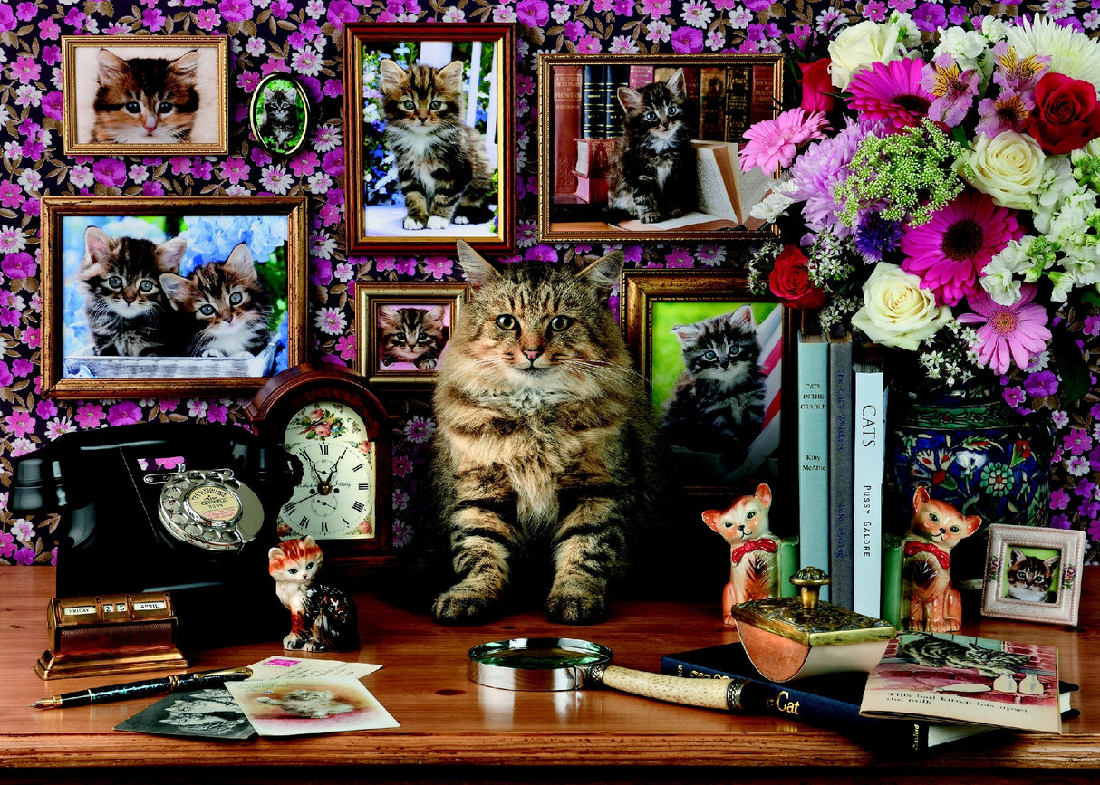 RBURG - MY CUTE KITTY 1000PCS