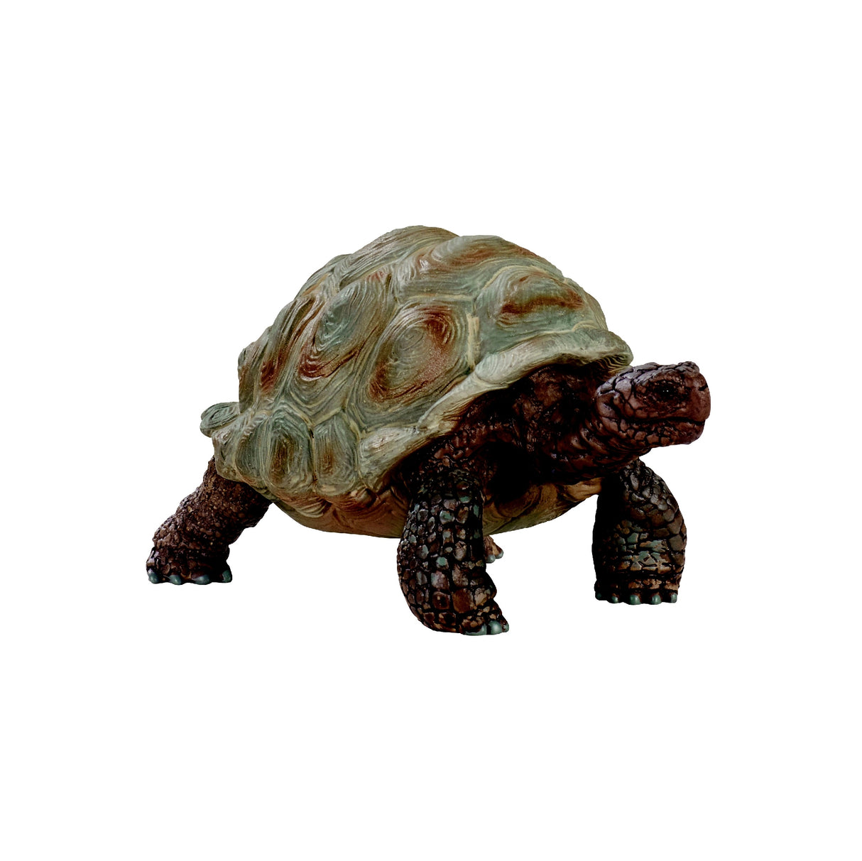 Schleich Giant Tortoise