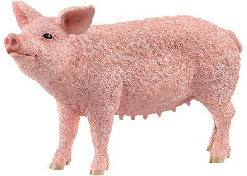 Schleich Pig