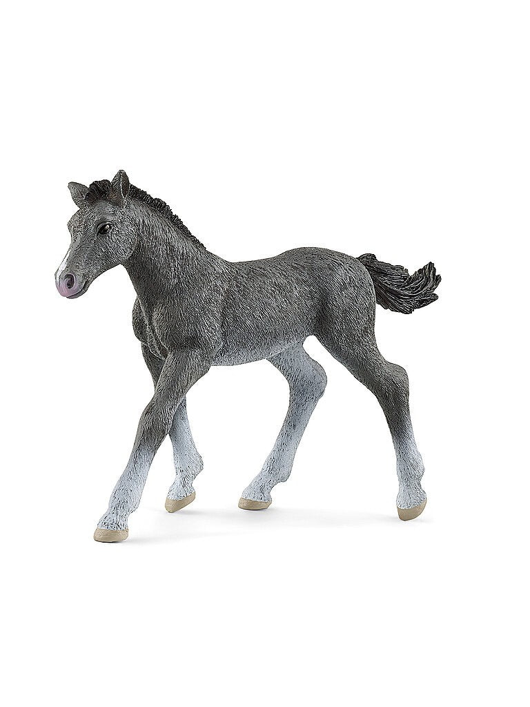 Schleich Trakehner Foal