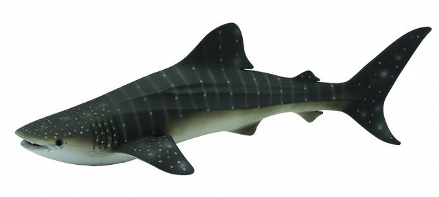COLLECTA 88453 WHALE SHARK