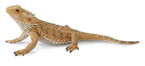 COLLECTA 88576 BEARDED DRAGON LIZARD