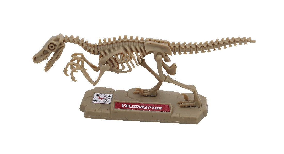 Dino Pocket 3d Skeleton Puzzle