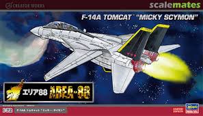 Hasegawa 1/72 F-14a Tomcat "mickey Scymon"