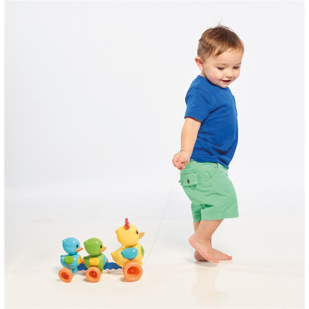 QUACK ALONG DUCKS