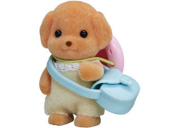 Sf - Toy Poodle Puppy (v2)