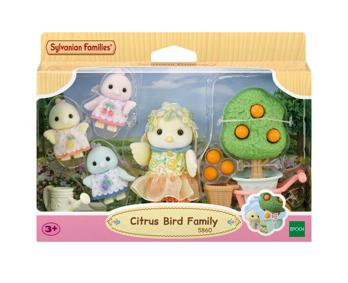 Sf - Citrus Bird Family