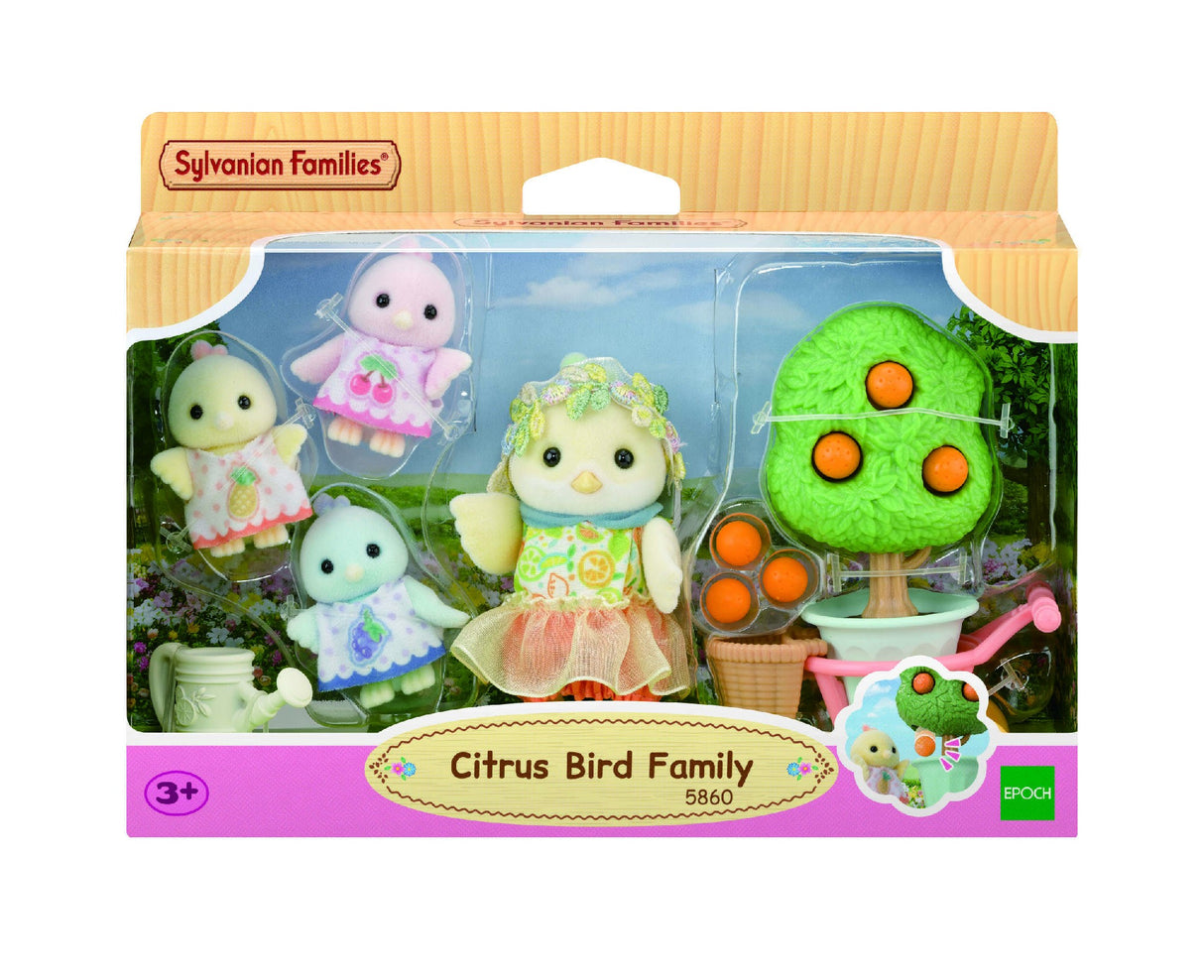 Sf - Citrus Bird Family