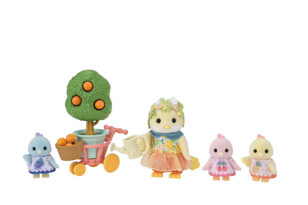 Sf - Citrus Bird Family