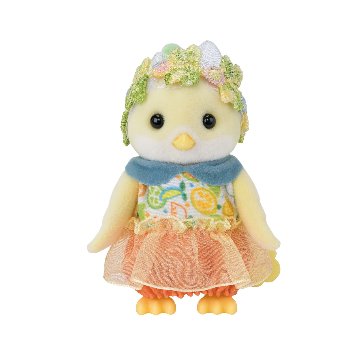 Sf - Citrus Bird Family
