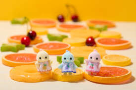 Sf - Citrus Bird Family