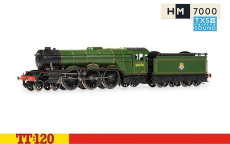 Hornby TT:120 Br Class A3 4-6-2 6007b 'night Hawk' Digital- Era 4