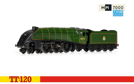 Hornby TT 1/120 Br Class A4 Silver King