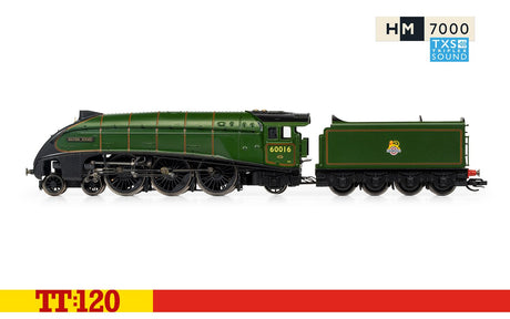 Hornby TT 1/120 Br Class A4 Silver King