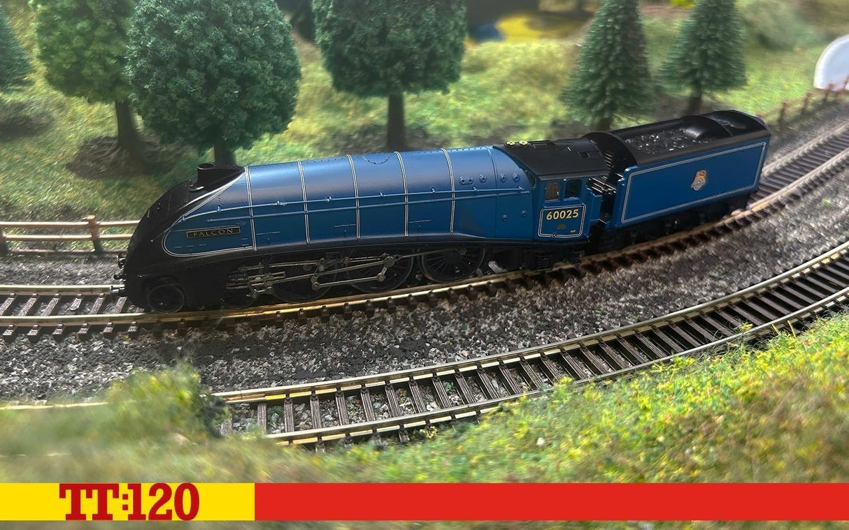 Hornby TT 120 Br Class A4 Class 4-6-2 60025 Falcon - Era 4
