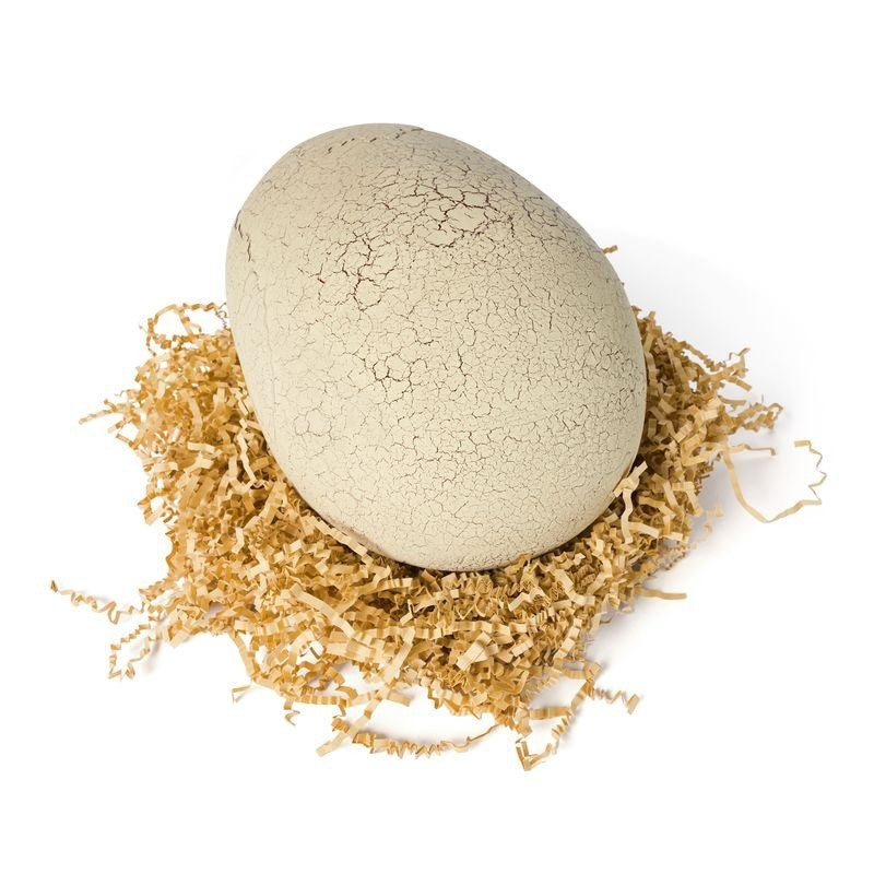 Primal Hatch Jurassic Interactive Hatching Dinosaur