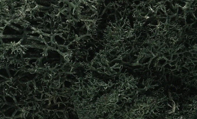 Woodland Scenics Lichen - Dark Green