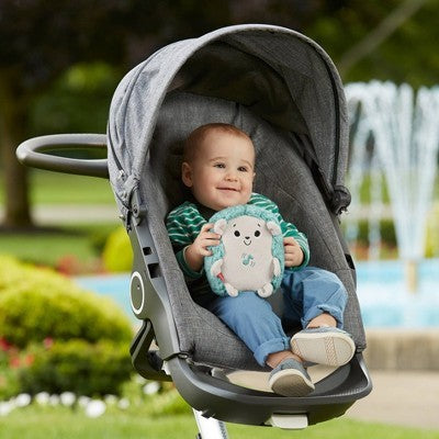 Fisher-price Calming Vibes Hedgehog Soother