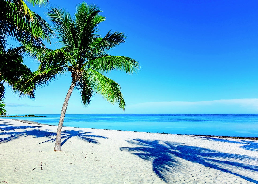 Ravensburger Beach Escape 1000 Piece