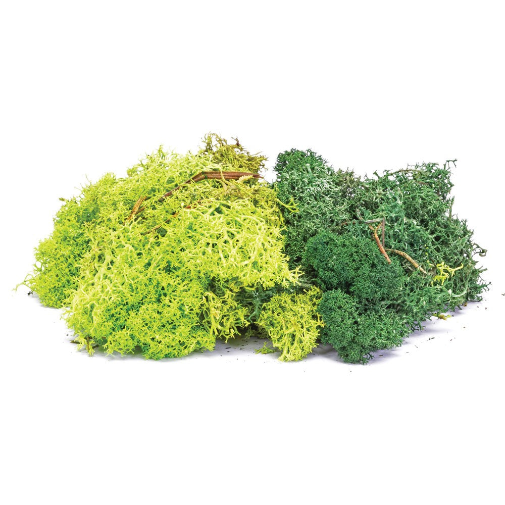 Hornby Lichen- Dark Green Mix 35g