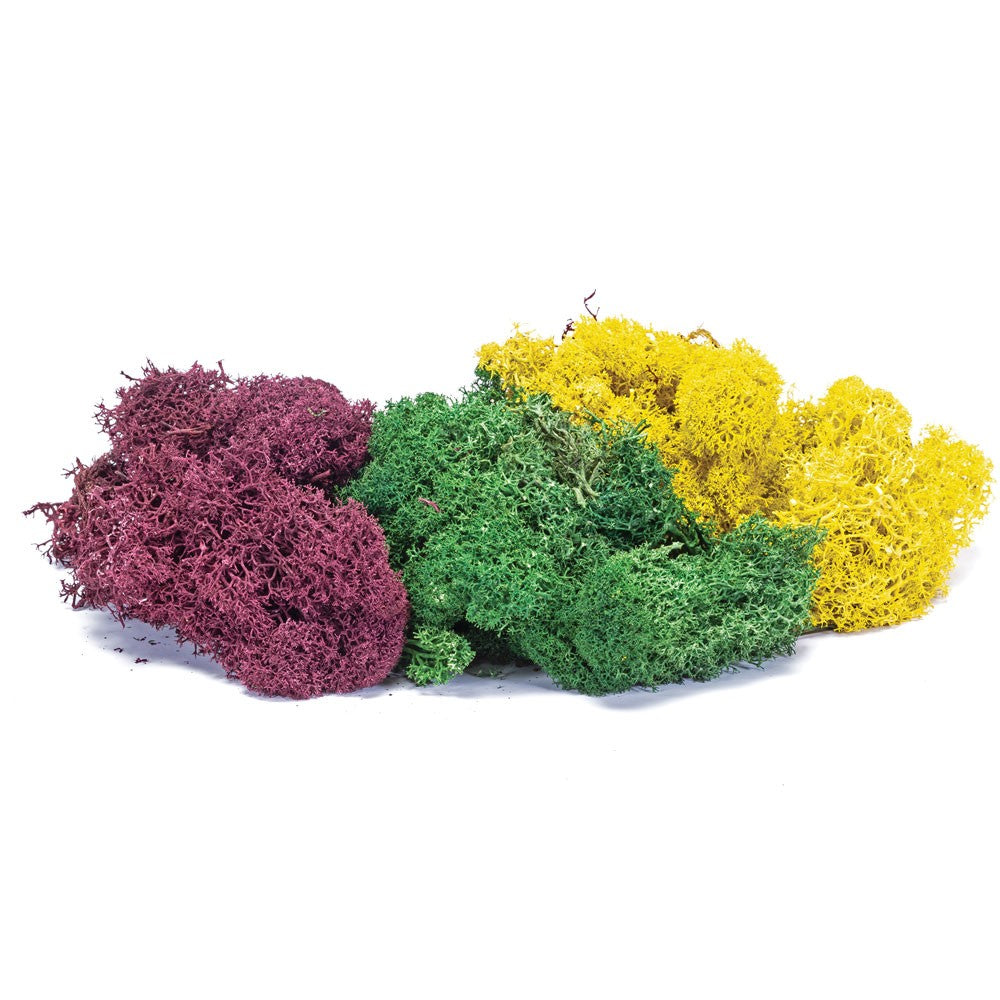 Hornby Lichen- Large Autumn Mix