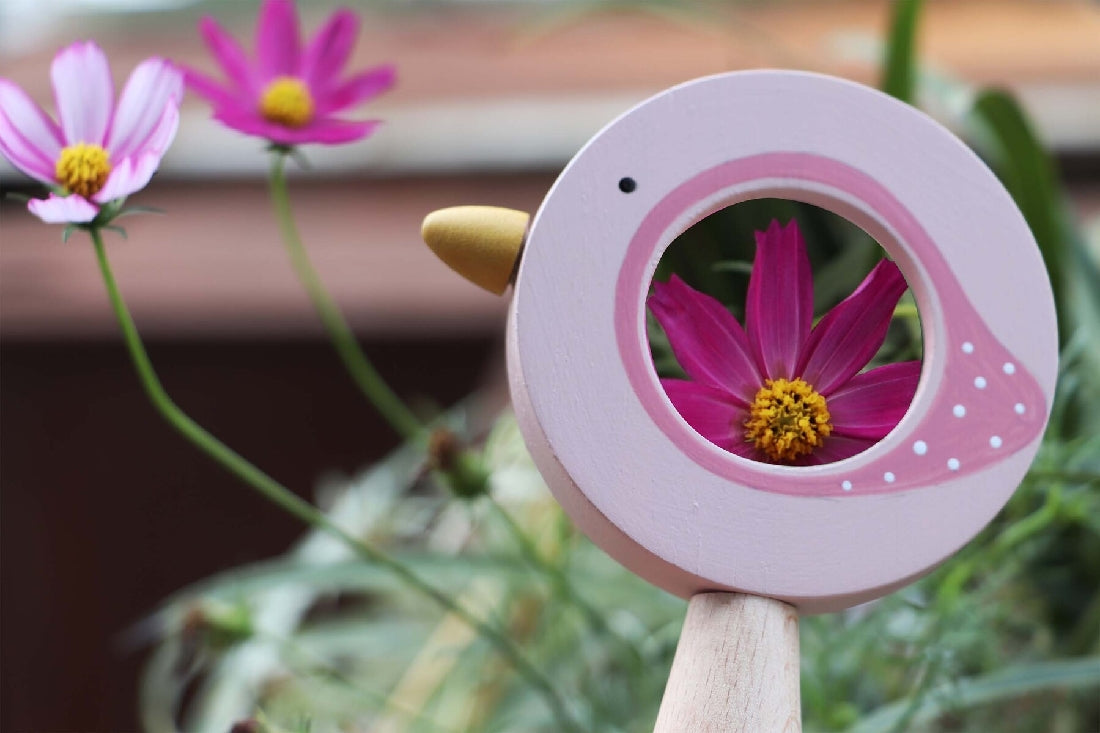 Kaper Kidz Calm & Breezy Magnifying Glass Assorted