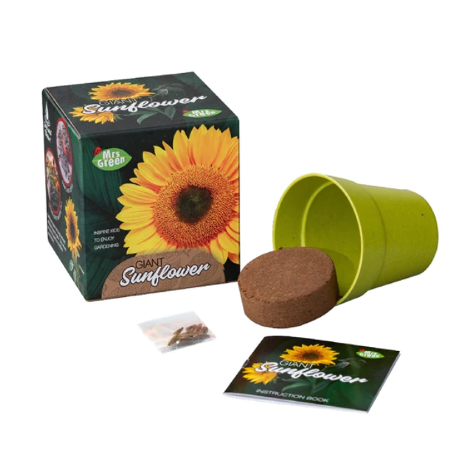 Mrs Green Giant Sunflower