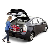 Radio Flyer Ez Fold Wagon W/canopy