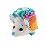 Fisher Price Cuddle N' Snuggle Hedgehog
