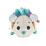 Fisher Price Cuddle N' Snuggle Hedgehog