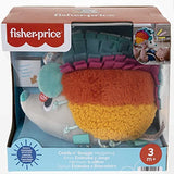 Fisher Price Cuddle N' Snuggle Hedgehog
