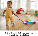 Fisher-price Giant Light-up Xylophone