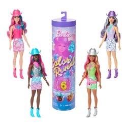 Barbie Colour Reveal - Country Disco